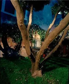 بالاتزو سوديريني 2* البندقية