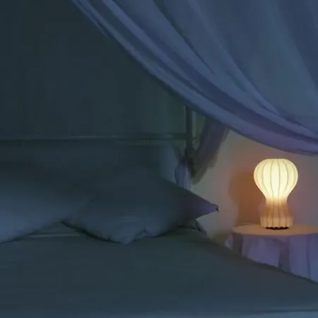 Konukevi Palazzo Soderini