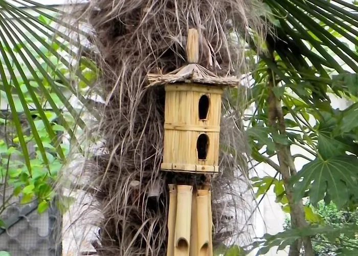 بيت ضيافة Palazzo Soderini