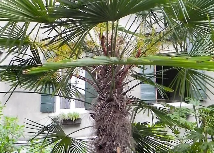 Palazzo Soderini 3* البندقية