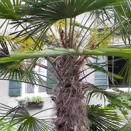 Palazzo Soderini 3* Velence